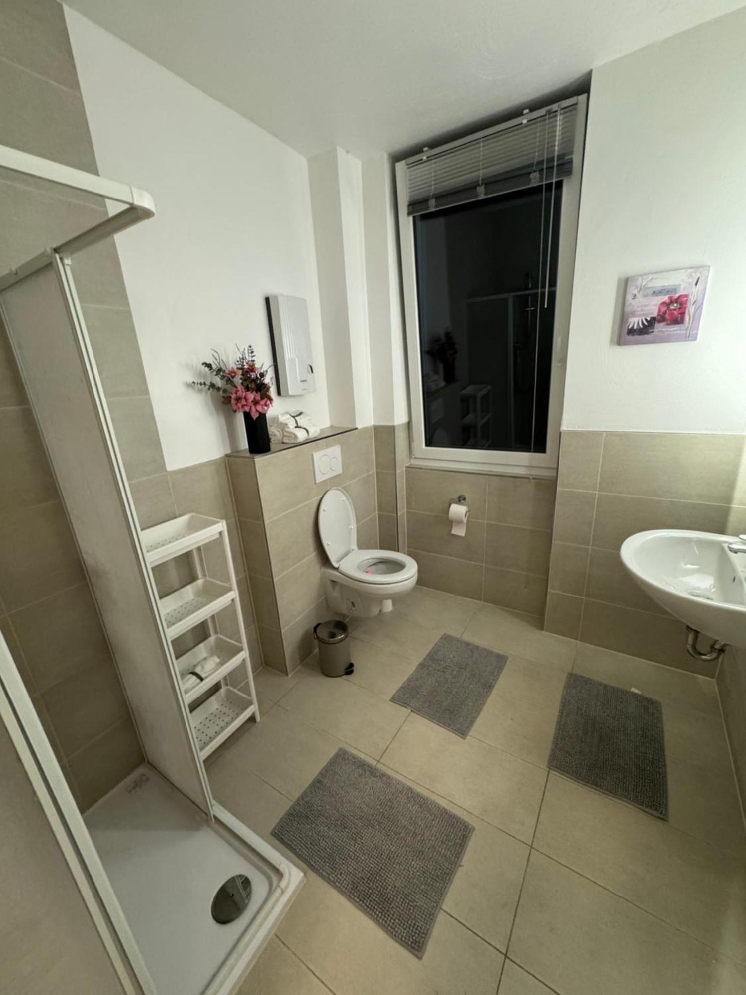 Apartment Gemuetliches In Rheinnaehe *